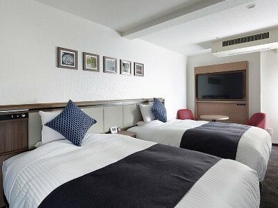 ホテル ホテルマイステイズ札幌すすきの